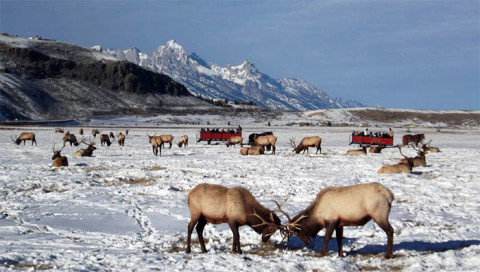 It’s lovely weather for our “sleigh-and-stay” special!