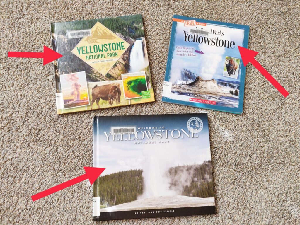 3 Fun Books about Yellowstone (For Kids!)