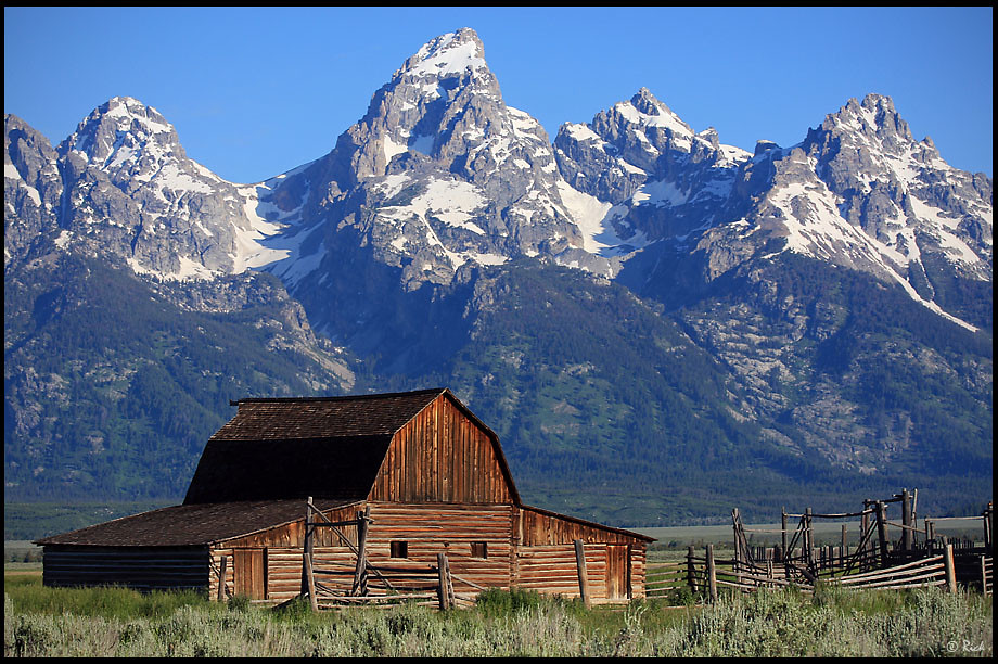 Barn to Be Wild: The Moulton Barn