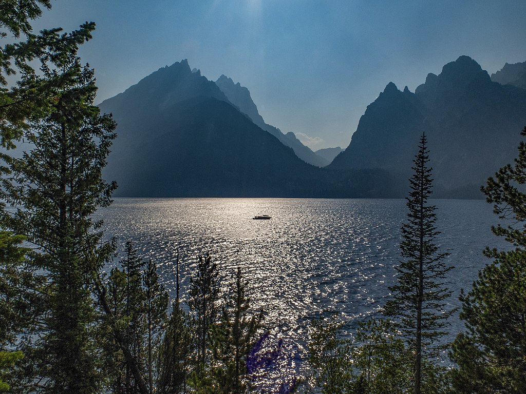 7 Tips for Conservation in Jackson Hole