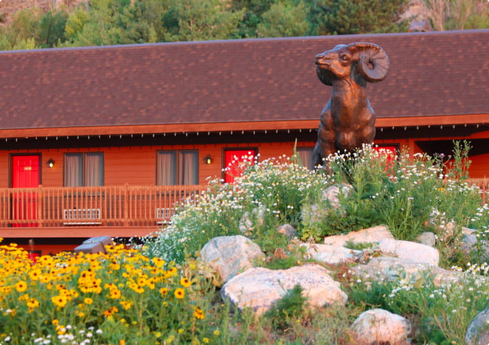 lodging near grand teton national park