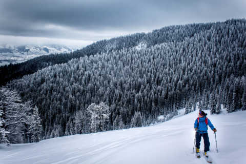 Cross country skiing in Jackson Hole