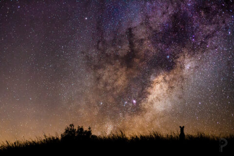 jackson stargazing