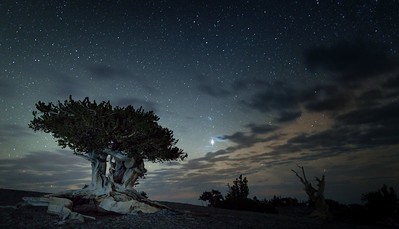 Great Basin Ntl Park national parks near jackson hole