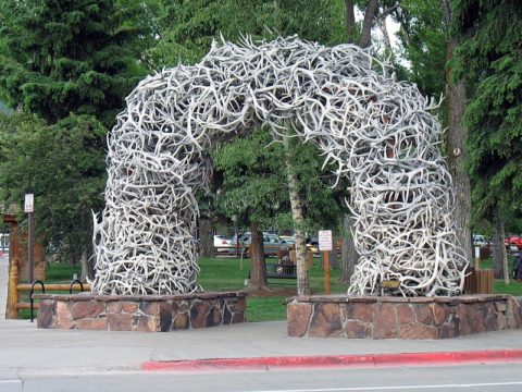 The antler arch