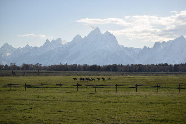 best time of year to visit jackson hole wy