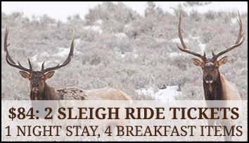 Jackson Hole Sleigh Ride Package