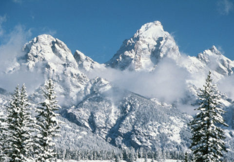 A romantic winter vista in Jackson Hole.