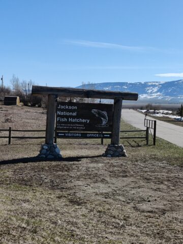 The Jackson National Fish Hatchery entrance sign