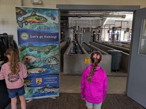 Walking into Jackson National Fish Hatchery