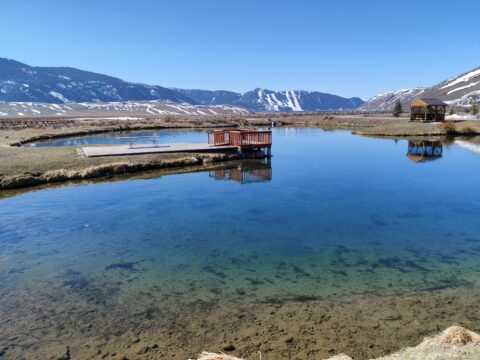 A beautiful pond behind the Jackson National Fish Hatchery that you can walk around and enjoy.