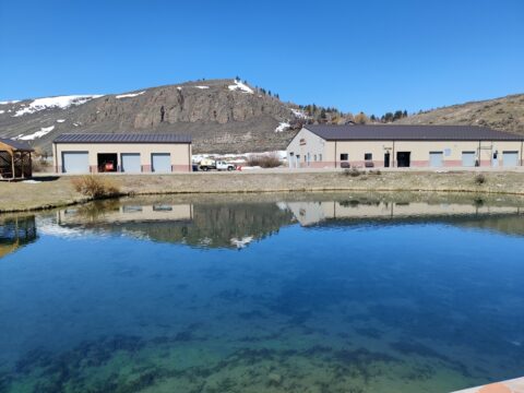 The view from the back of the Jackson National Fish Hatchery.