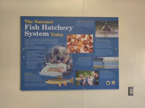 Another educational sign inside the Jackson National fish hatchery.
