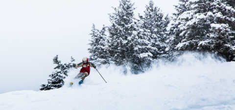 Skiing in Jackson Hole