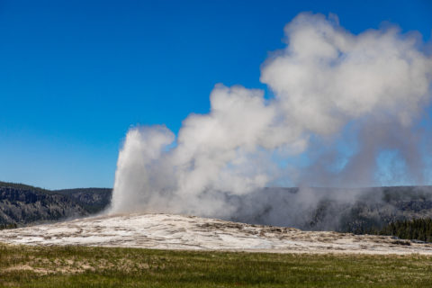 A geyser at Yellowstone National Park.