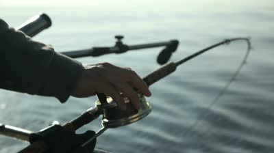 stock-footage-salmon-fishing-near-port-renfrew-bc