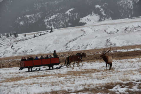 cheap skiing jackson hole