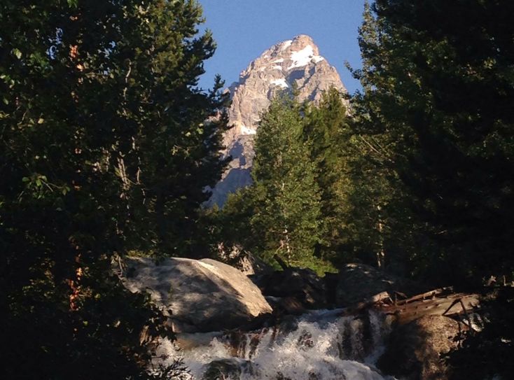 weather in jackson hole