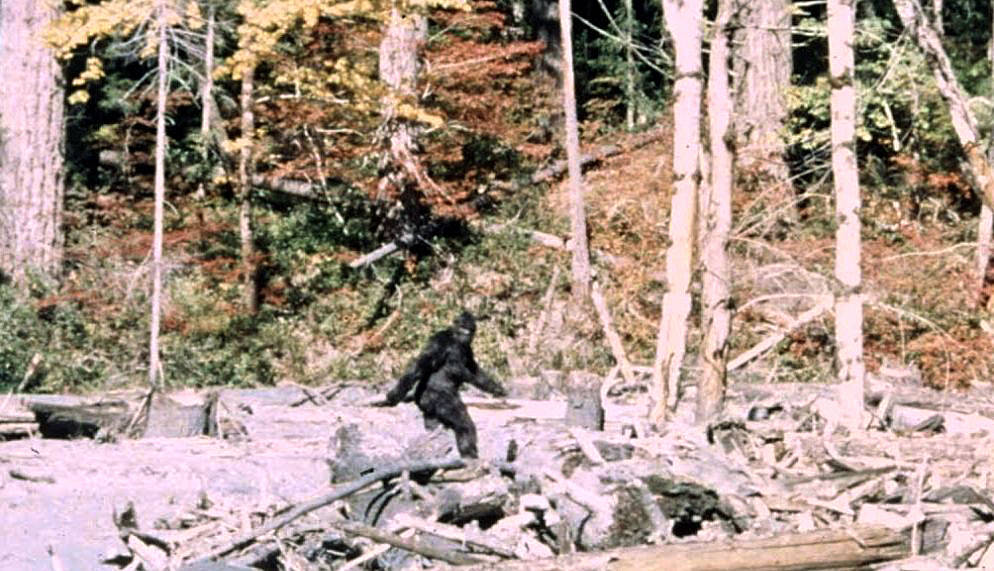 Bigfoot in Wyoming