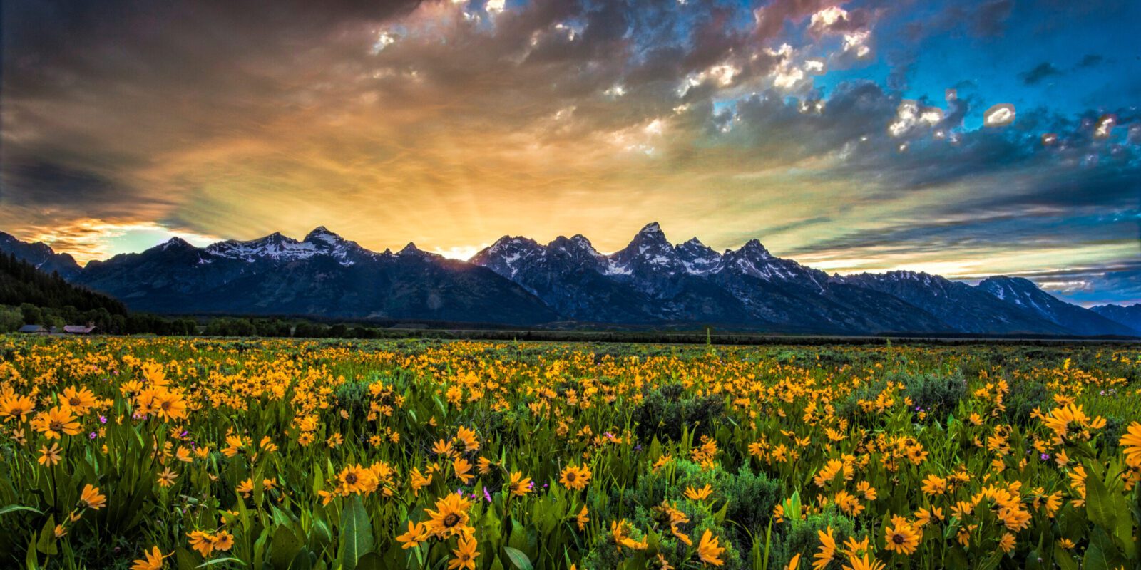 You’ll Love Visiting Jackson Hole in Spring