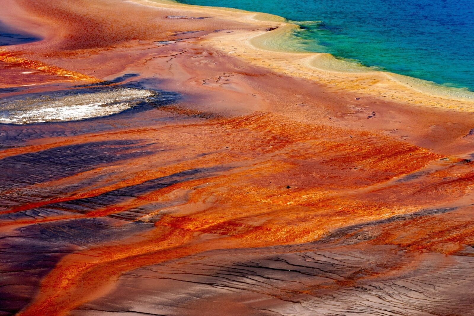 Why are Yellowstone Hot Springs Colorful?