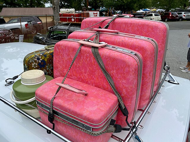 Minimalist Packing: The Art of Bringing Less