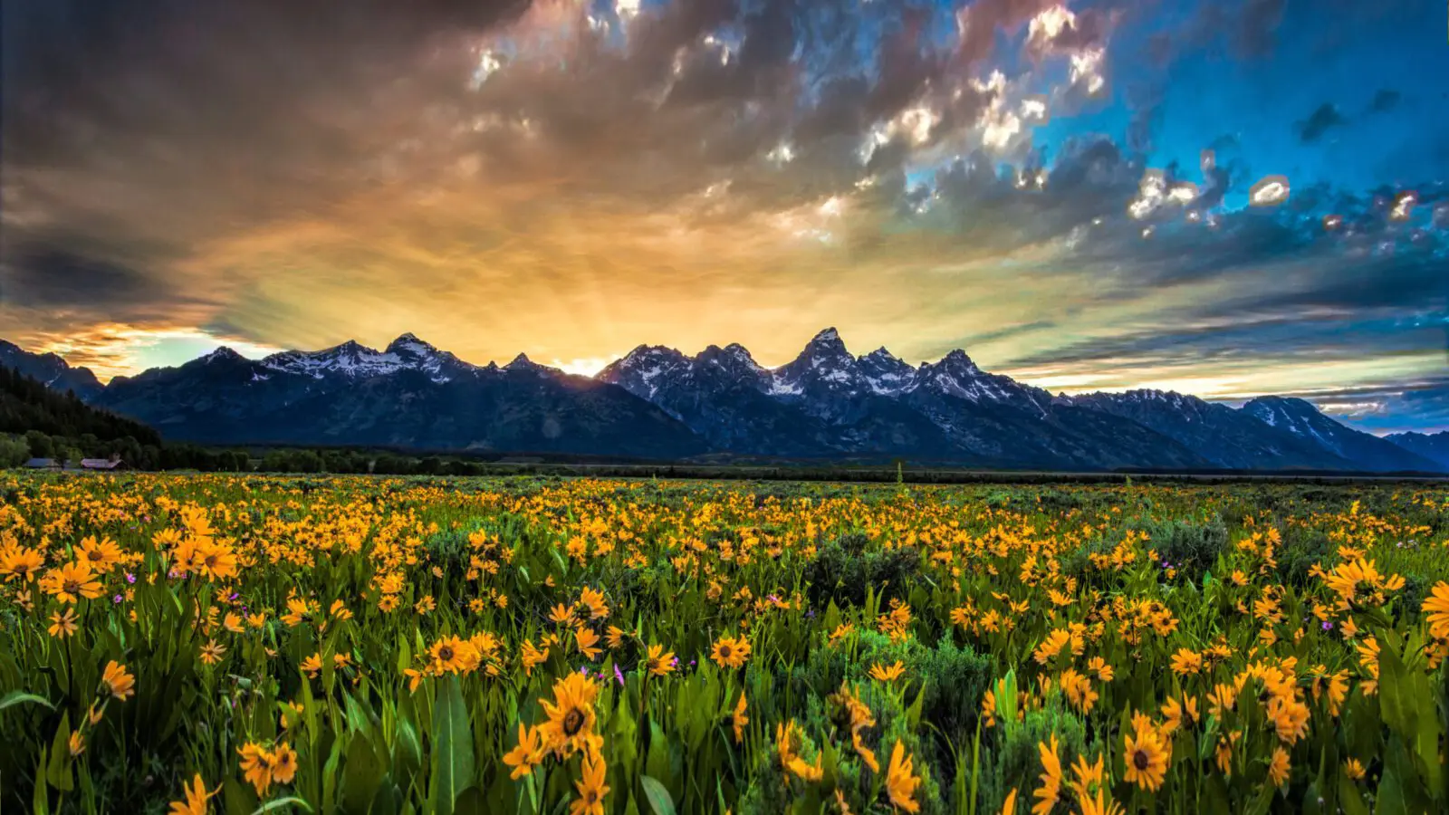 Jackson Hole