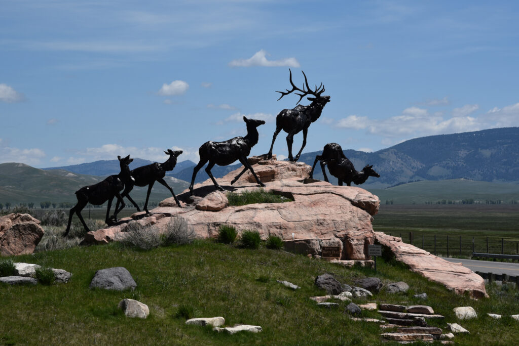 Jackson Hole Spotlight: The National Museum of Wildlife Art