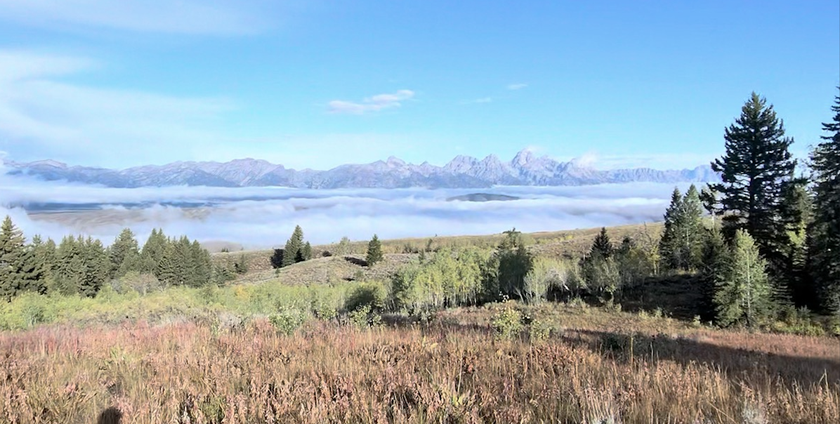 A Local Treasure: Hiking Sheep Mountain